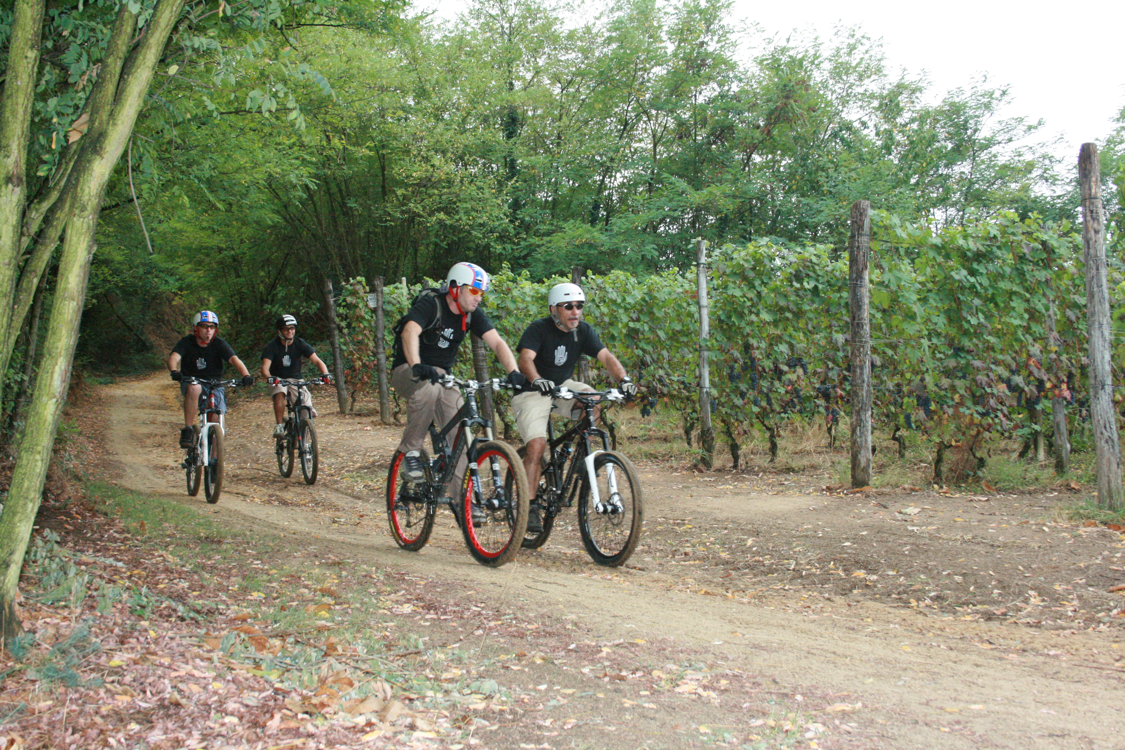 escursioni in mountain bike nelle Langhe a Vergne